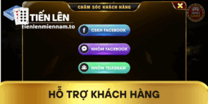 Hỗ Trợ Khách Hàng Tiến lên miền nam, dịch vụ hỗ trợ nhanh chóng